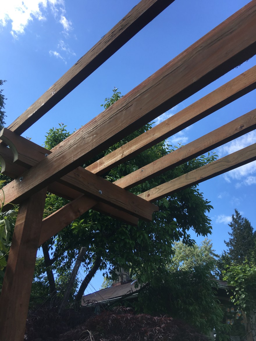 56E42525-1009-4EBC-80E9-895B3065DC6D