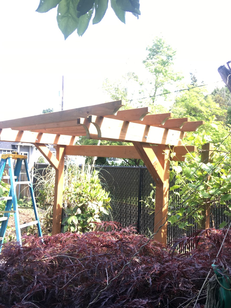 9FCA0F05-103B-4B59-BF6C-EA9895BDC28D